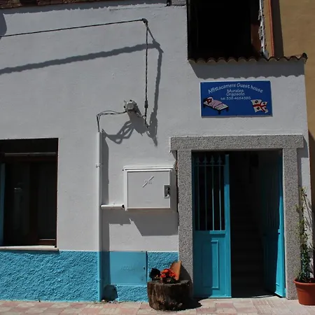 Murales Guest house